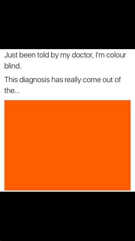 8 Hilarious Orange Color Puns - Punstoppable 🛑