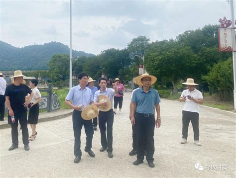 宁德市政府副市长黄建龙到福安开展老区发展政策走访调研 红土地