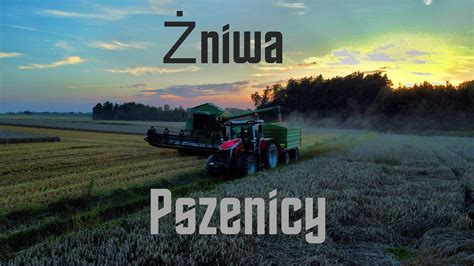 Niwa Pszenicy Na Wielk Skale Niespodziewana Akcja Na Polu Youtube