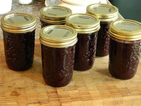 Backyard Grape Jam Recipe