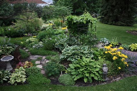 23 Fern Garden Ideas You Should Check SharonSable