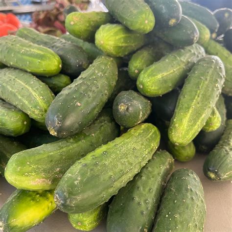 Kingsport Farmers Market | Kingsport TN