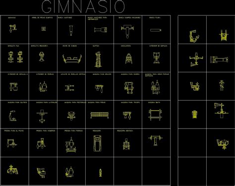 Gym Equipment Cad Drawing At Howarddrobb Blog