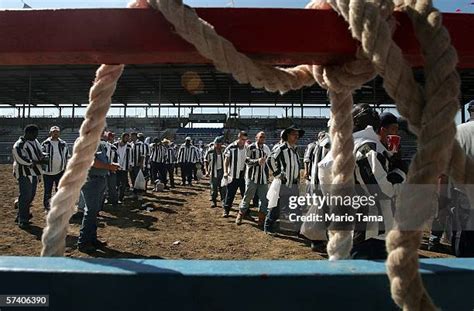 Annual Angola Prison Rodeo Turns Inmates Into Cowboys Photos and ...