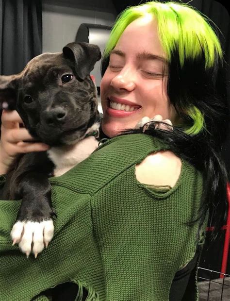 Pin By Billieengelina On Pets Billie Billie Eilish Celebs