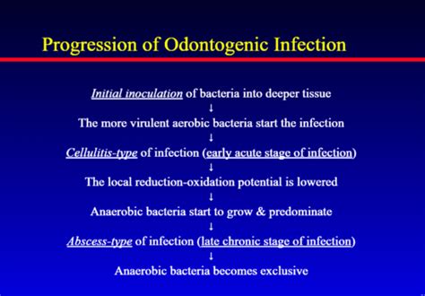 Lecture Complex Orofacial Infections Oral Diseases Ii Flashcards