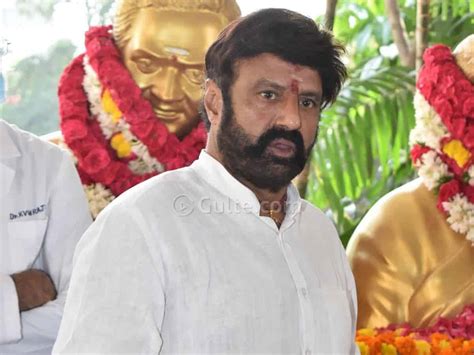 Ippude Teeyinchey Balakrishna Angry On NTR Flexi