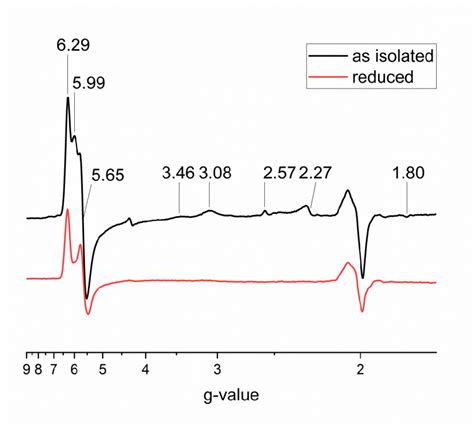 X Band Epr Spectra Of Candidatus Kuenenia Stuttgartiensis Hydrazine