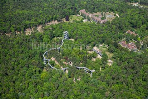 Luftaufnahme Beelitz Ruine Des Ehemaligen Klinik Und Krankenhaus