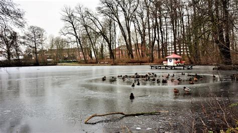 Stadt warnt vor Betreten von Eisflächen SHZ