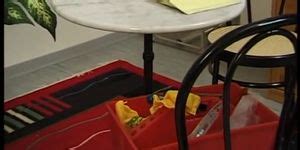 German Mature And Repairman In Homemade Sex Fun Tnaflix