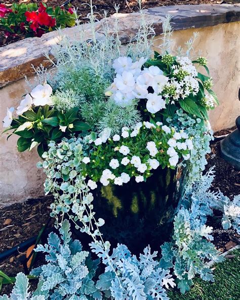 Contain Yourself Garden Design