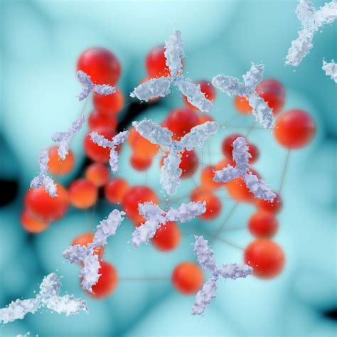 la brevettabilita degli anticorpi  una sfida anche   esperto