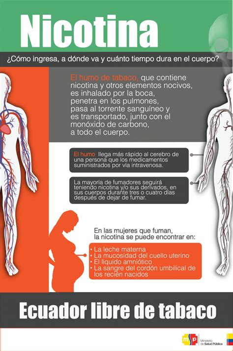 Infografia Nicotina Ministerio De Salud Pública