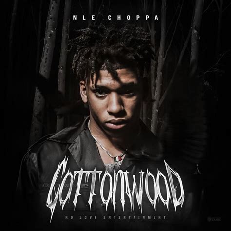 Nle choppa | Rap album covers, Album covers, Music album cover