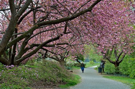 Arboretum Haverford College