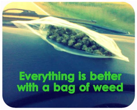 stoner quotes on Tumblr