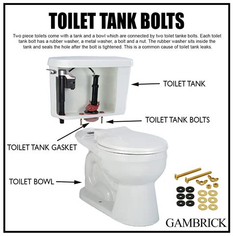 toilet tank bolts infographic chart 1.0 - Modern Design