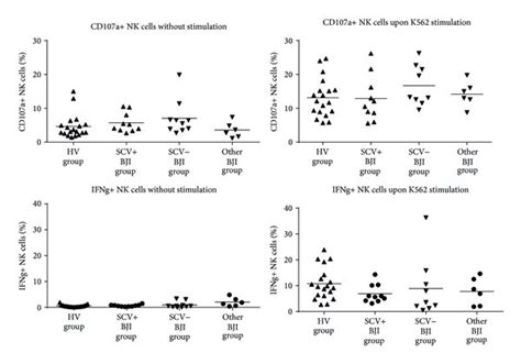 Degranulation And Ifn γ Production By Nk Cells Before And After Download Scientific Diagram