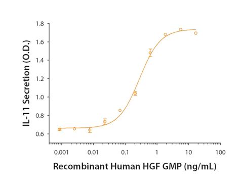 Recombinant Human Hgf Ns Expressed Gmp Protein Cf Gmp Bio