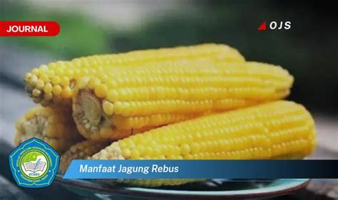 Bikin Penasaran Inilah Manfaat Jagung Rebus Yang Jarang Diketahui