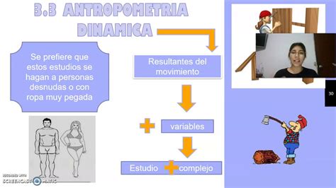 TEMA 3 ANTROPOMETRIA ESTATICA Y DINAMICA YouTube