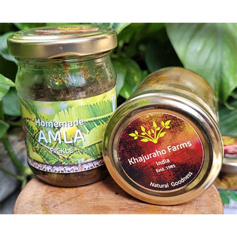 High Quality Home Made Amla Pickles at Best Price in Khajuraho | Khajuraho Foundation