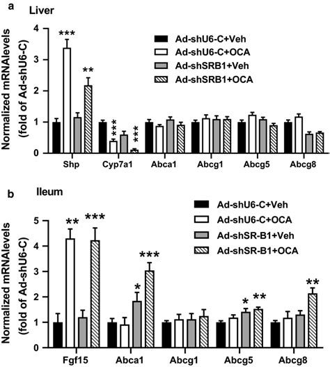 Activation Of Fxr Did Not Alter The Expression Of Transhepatic Download Scientific Diagram