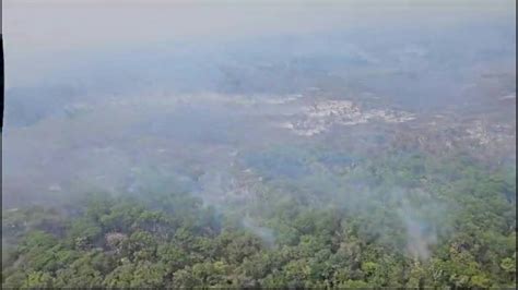 Los Incendios Se Agravan En El Pantanal Brasile O El Mayor Humedal Del