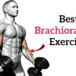 25 Best Forearm Exercises for Mass and Strength
