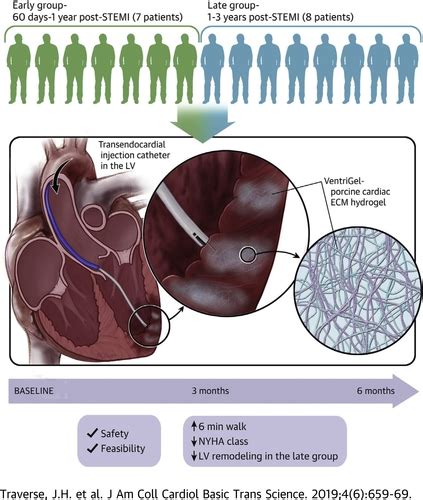 First In Man Study Of A Cardiac Extracellular Matrix Hydrogel In Early