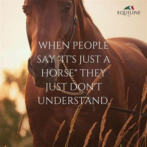 Inspirational Horse Quotes Equestrian Quotes Horse Quotes