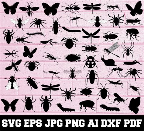 Insect Svg Insect Silhouette Svg Cut Files Insect Bundle Etsy