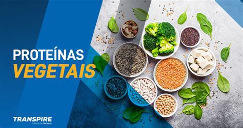 Proteínas Vegetais 10 Opções Para Substituir A Carne