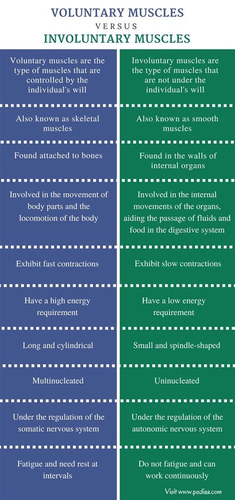 Difference Between Voluntary and Involuntary Muscles | Definition ...