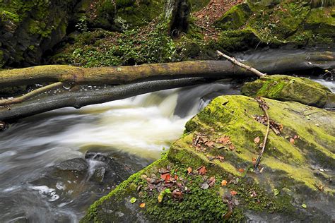 Doubrava - Fotogalerie Digimanie