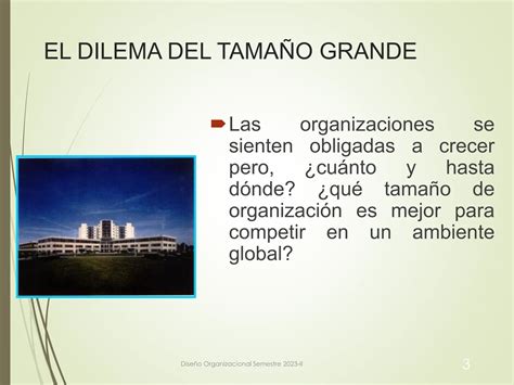 Ciclo De Vida Organizacional Y Dise O Pdf Descarga Gratuita