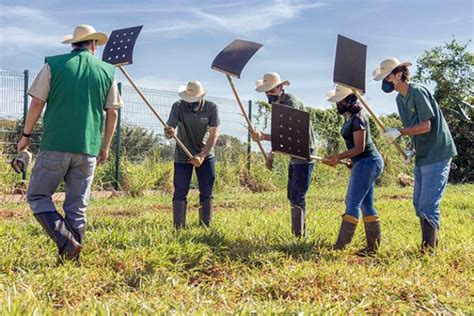 Sistema Famasul Alerta Produtores Rurais Para Preven O De Inc Ndios No