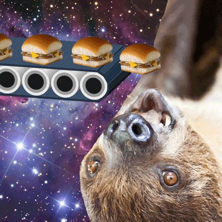 Sloth In Space GIFs - Find & Share on GIPHY