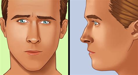 How To Know Your Nose Shape 5 Minute Crafts