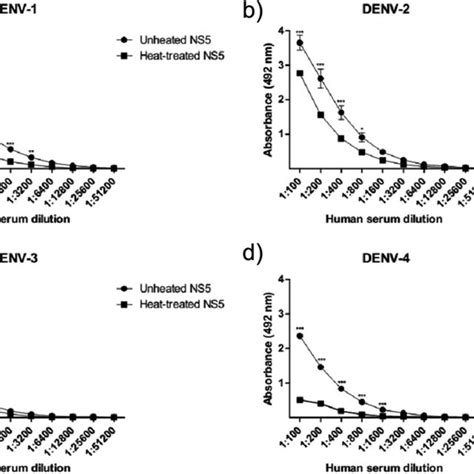 Reactivity Of Denv Infected Human Sera With The Recombinant Ns5 Sera