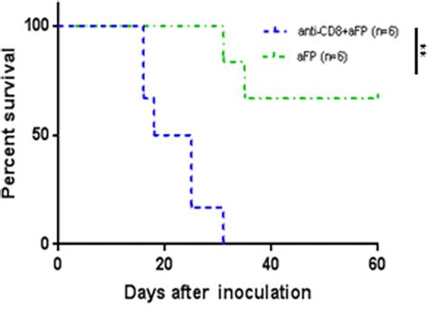 Tumor Survival Curves After Afp Treatment With Anti Cd8 Depletion