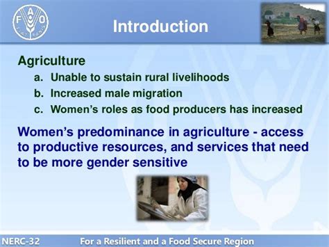 Addressing The Gender Gap In Agriculture And The Rural Sector In The