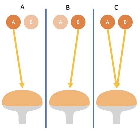 schema   double led method  scientific diagram