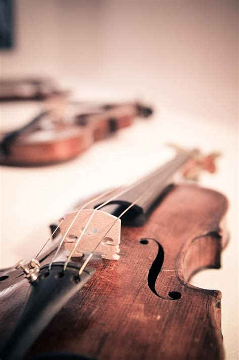 Violin Violins Classical Music Classic Musical Instruments