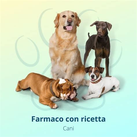 Metacam Mg Ml Sospensione Orale Flacone Ml Farmapets