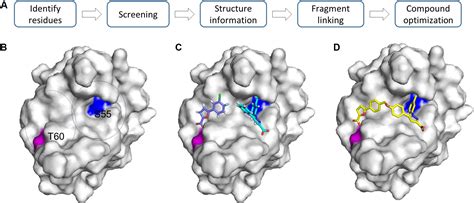 Frontiers Application Of Fragment Based Drug Discovery To Versatile