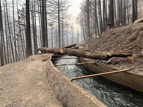 RMEF Helps Keep Elk From Dying In Historic Washington Waterway Rocky