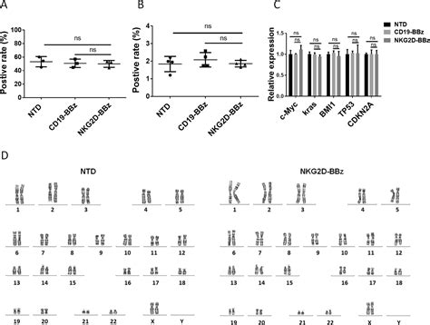 T Cells Expressing Nkg2d Chimeric Antigen Receptors Efficiently