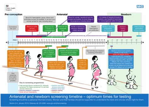 Antenatal Care Flashcards Quizlet